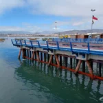 Proyecto Puerto Oscuro